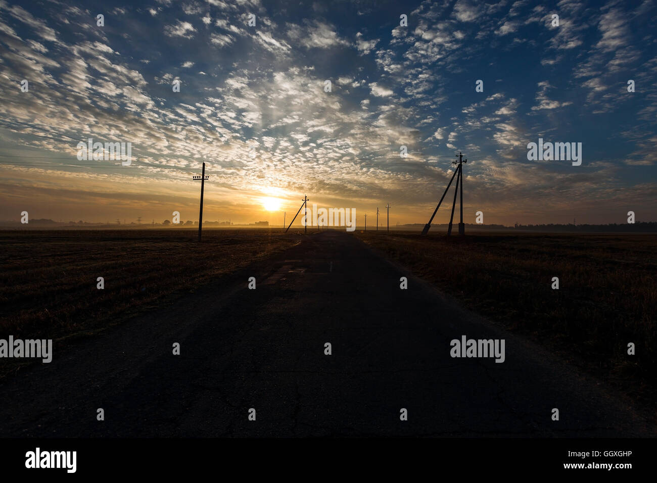 power poles in the field Stock Photo - Alamy