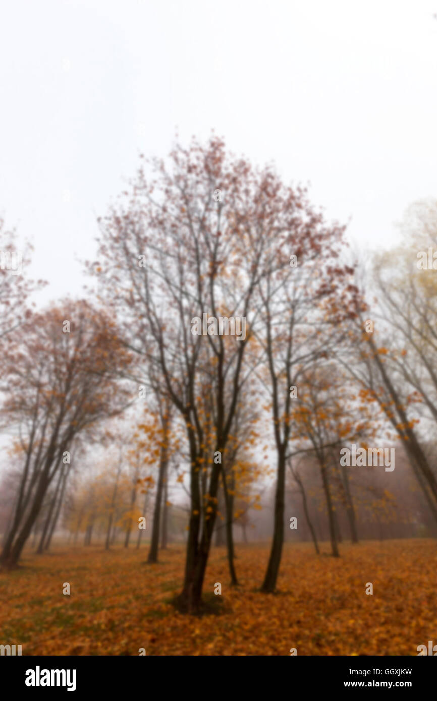 Park in the fall Stock Photo - Alamy