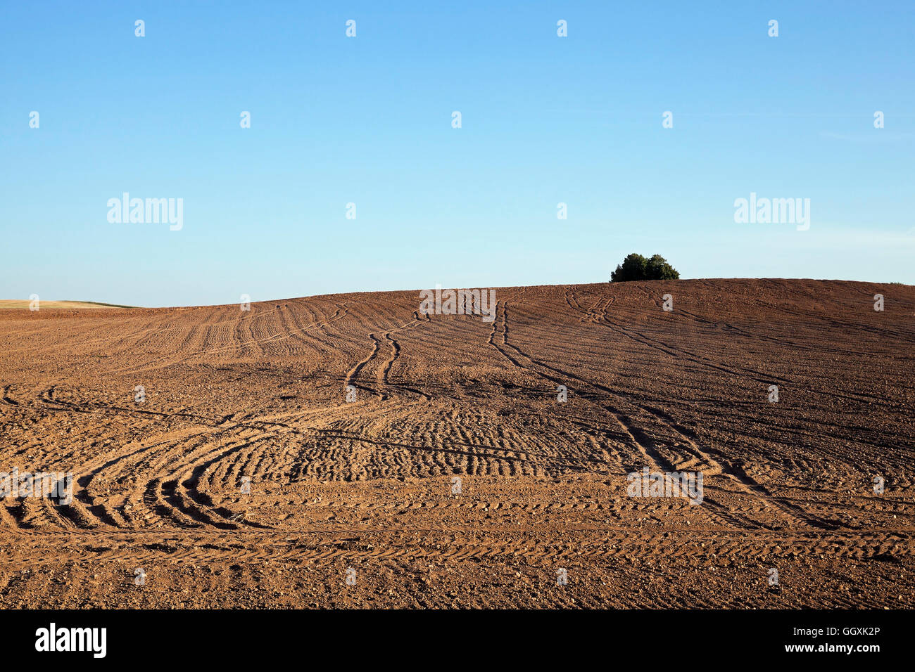 plowed agricultural field Stock Photo - Alamy