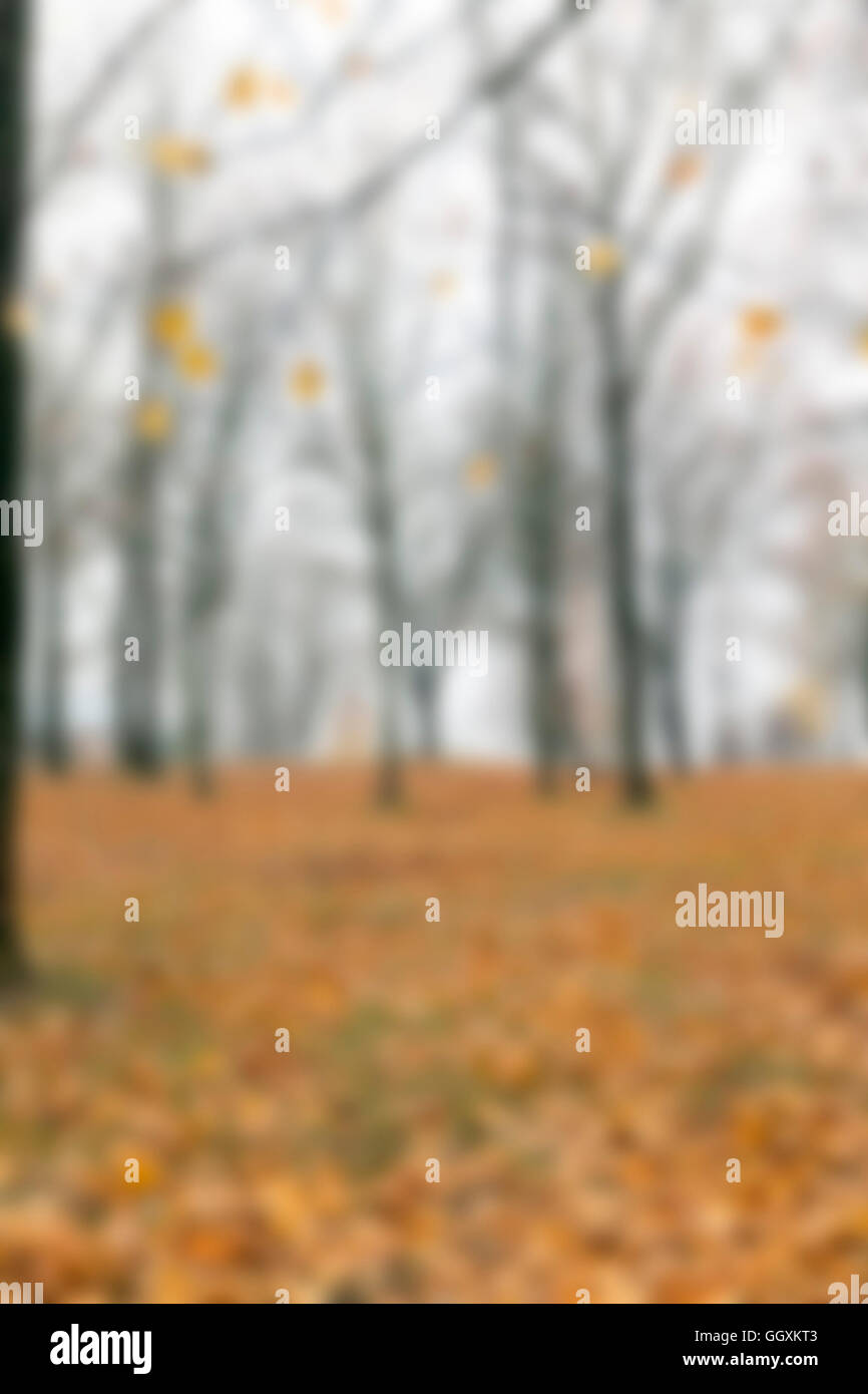 Park in the fall Stock Photo - Alamy