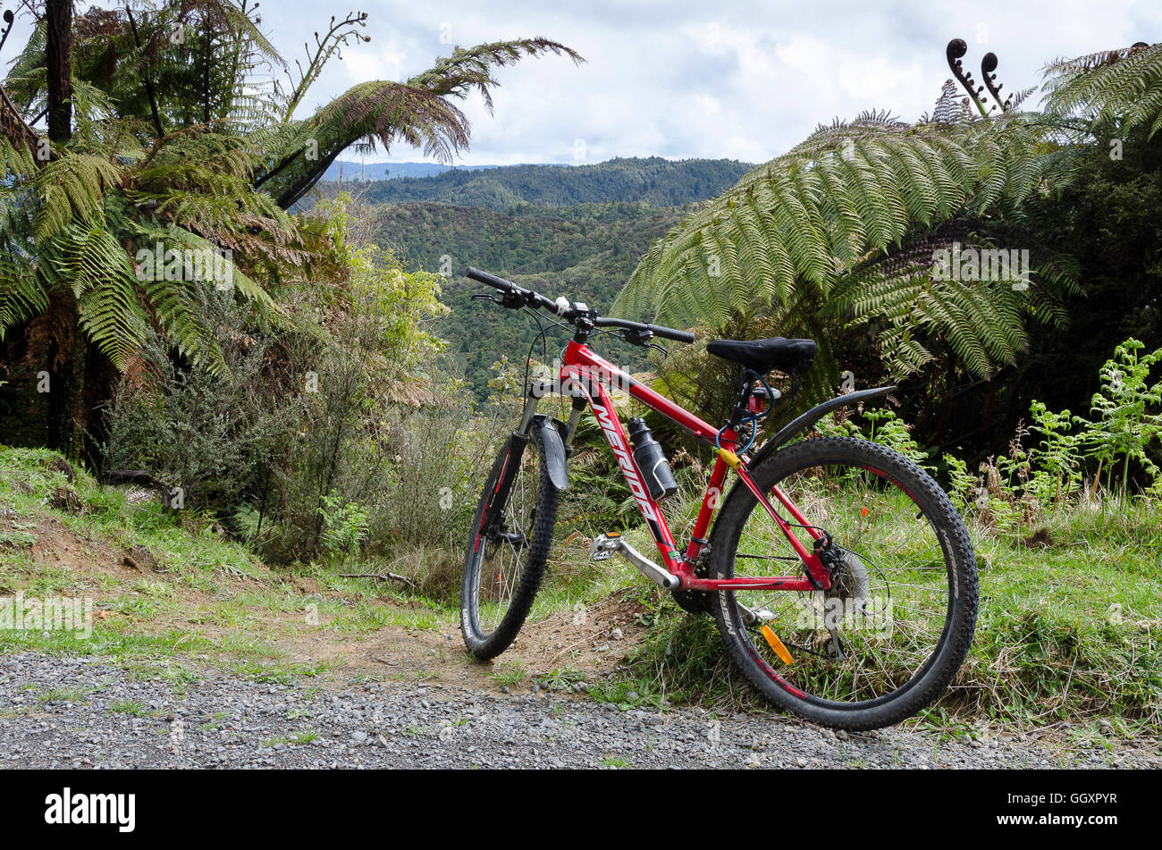 Mountain Bike on Fishers Track, National Park, North Island, New Zealand Stock Photo