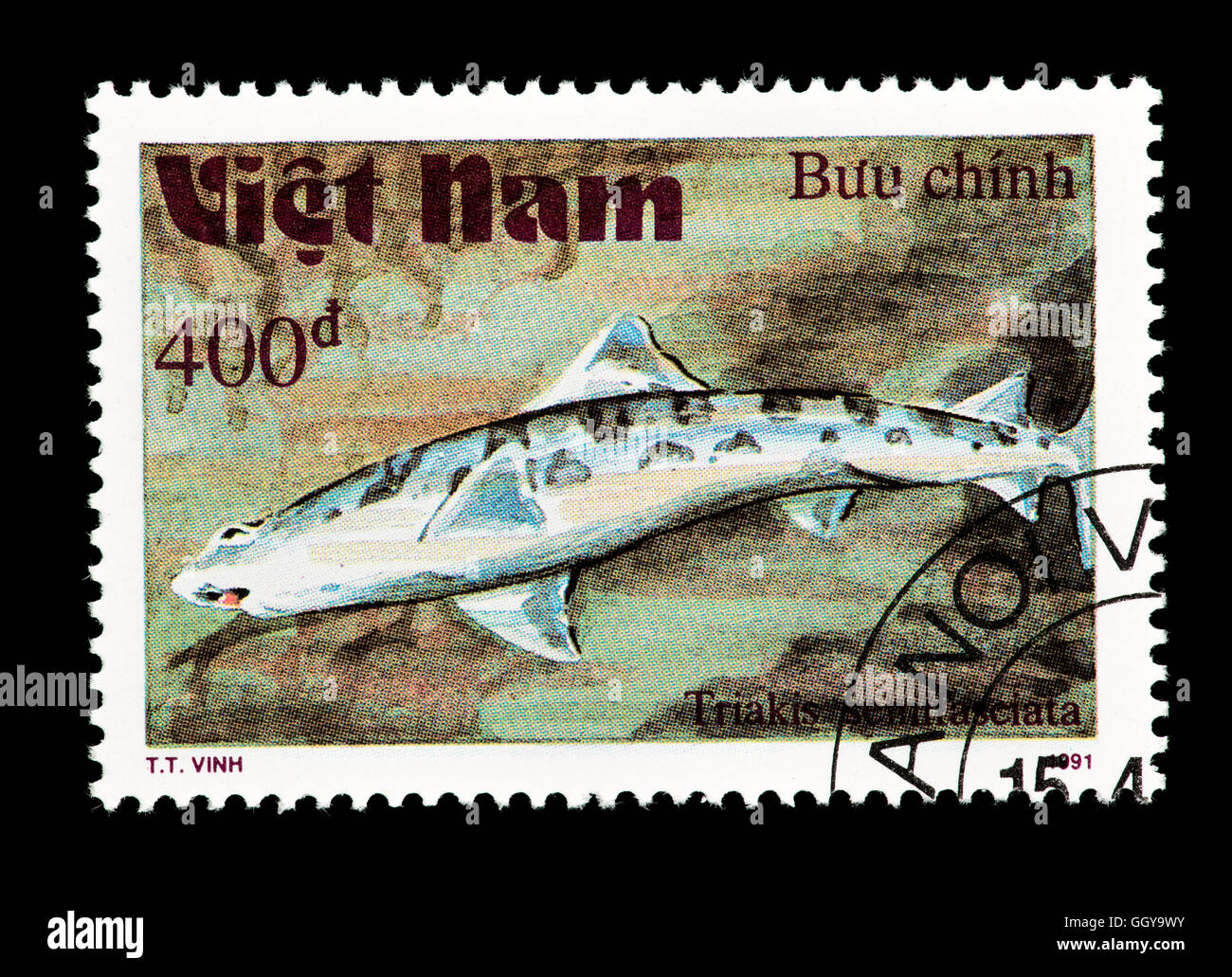 Postage stamp from Vietnam depicting leopard shark (Triakis semifasciata). Stock Photo