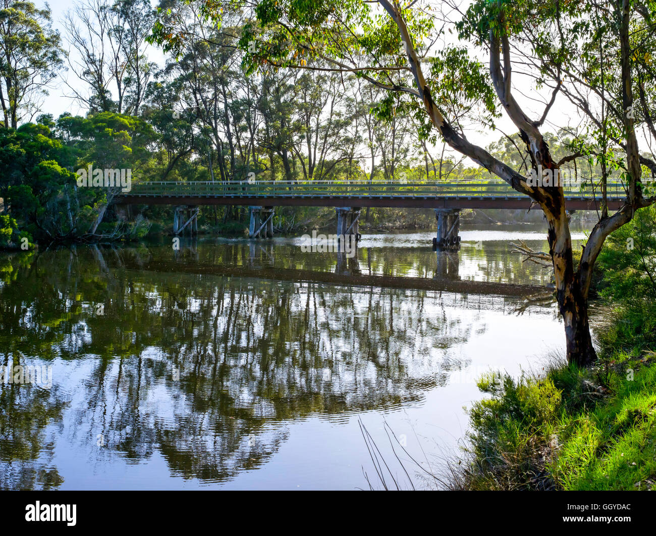 Denmark River in Denmark in Western Australia Stock Photo Alamy