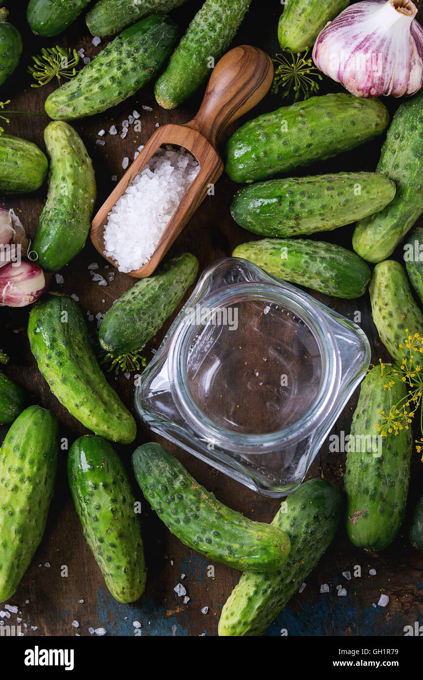 Cucumbers for pickling Stock Photo Alamy