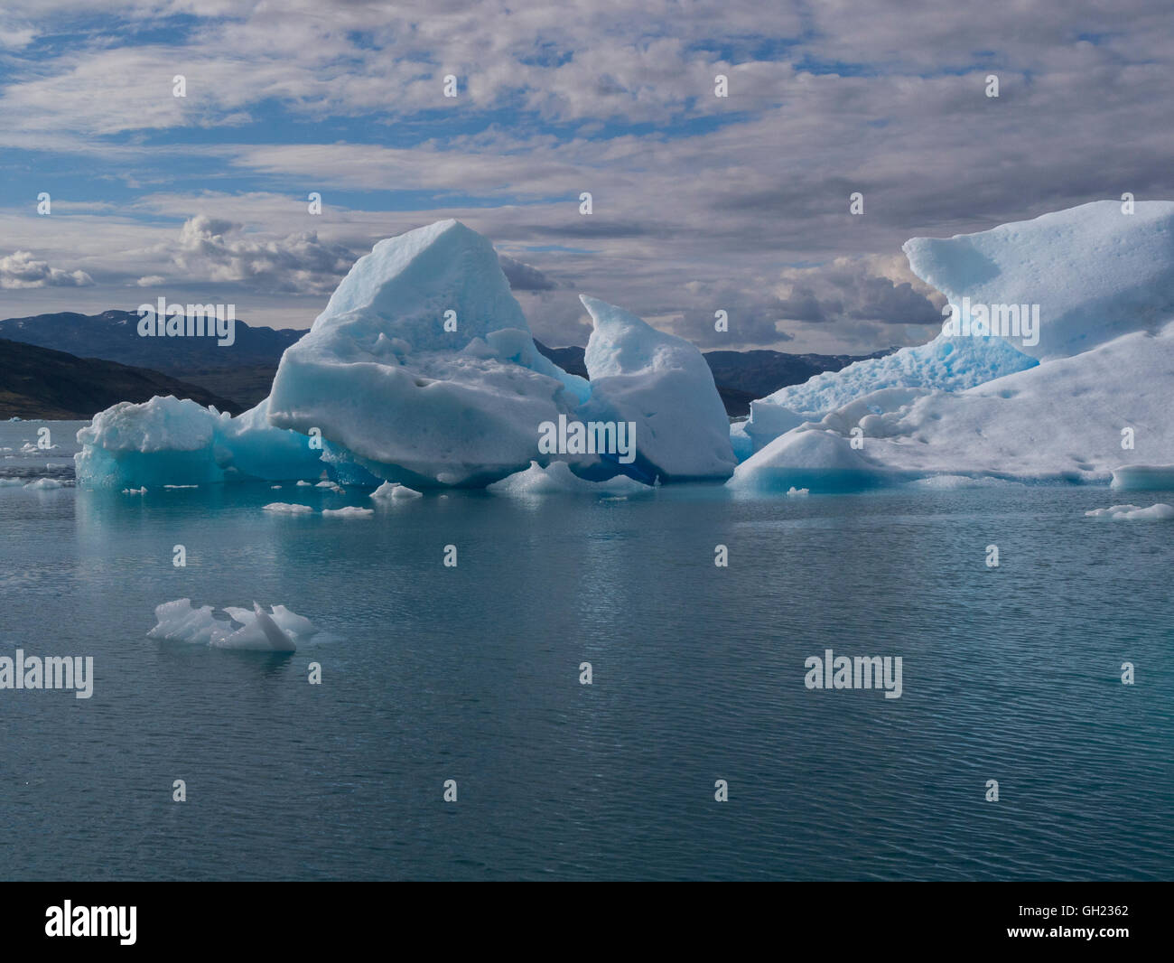 Icebergs Qooroq Ice Fjord fed from Greenland Ice Sheet glacier