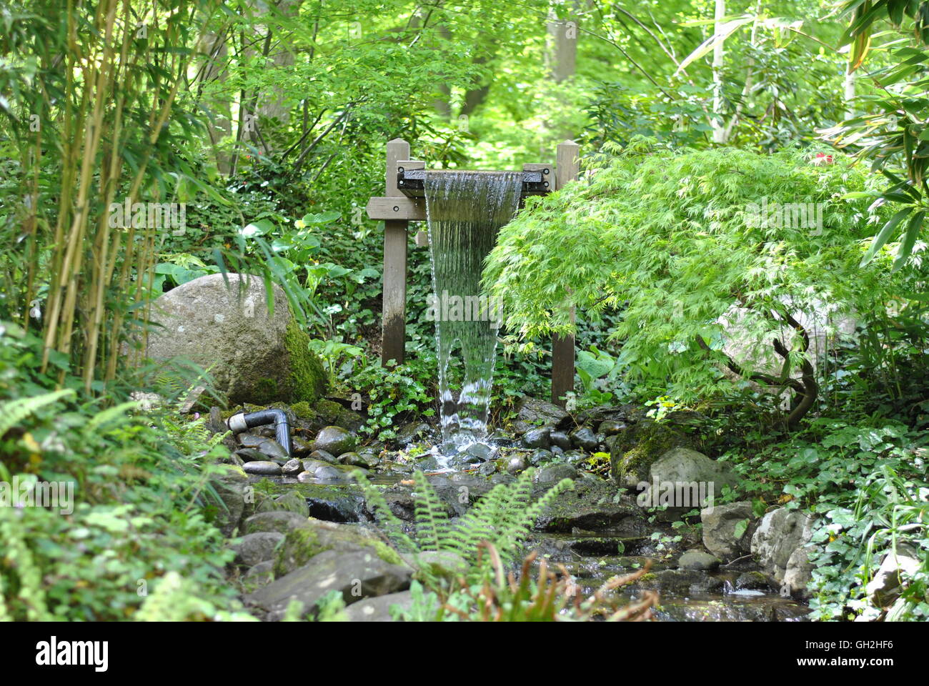 free flowing water in green woods Stock Photo
