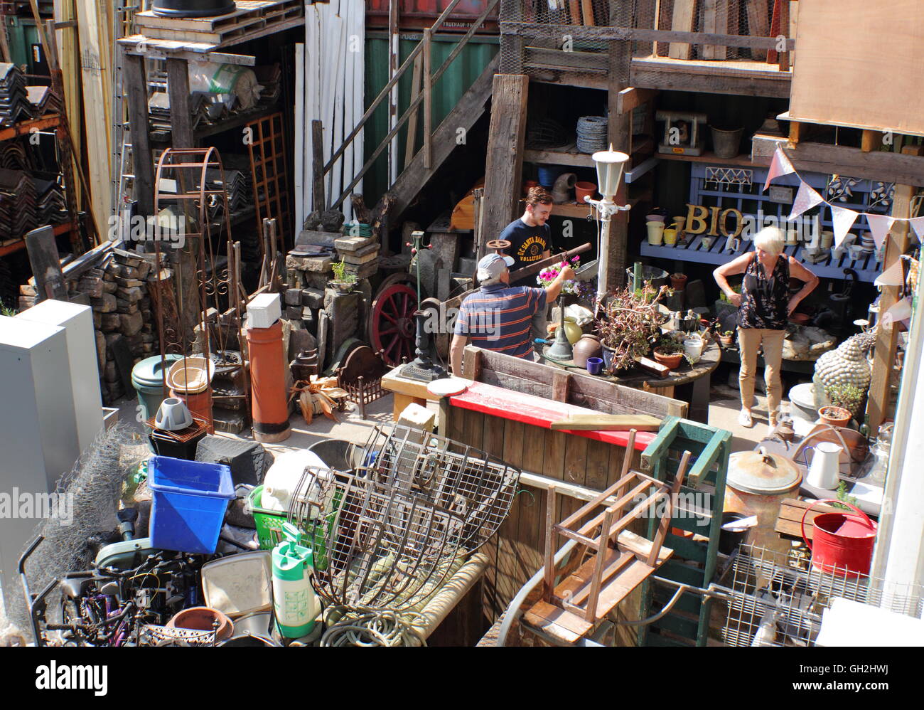 Inside 'Swifties' architectural salvage yard in the heart of the
