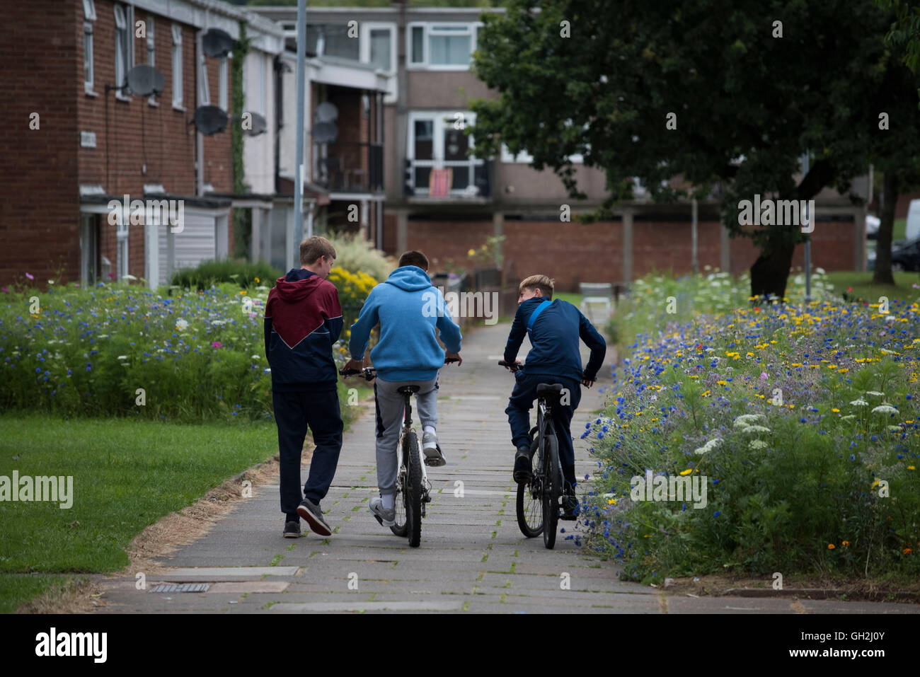 Youths teenagers ride bikes on a council estate in Cwmbran, Newport, Wales  Stock Photo - Alamy