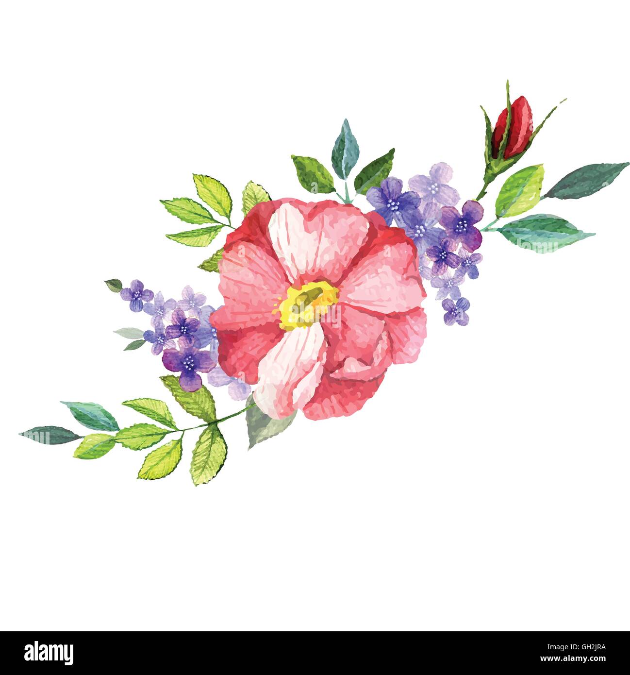 Hand painted watercolor vector floral bouquet Stock Vector Image & Art ...
