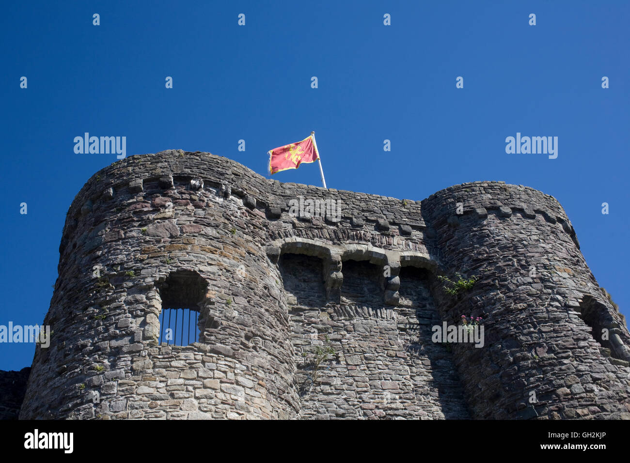 are dogs allowed at carmarthen castle