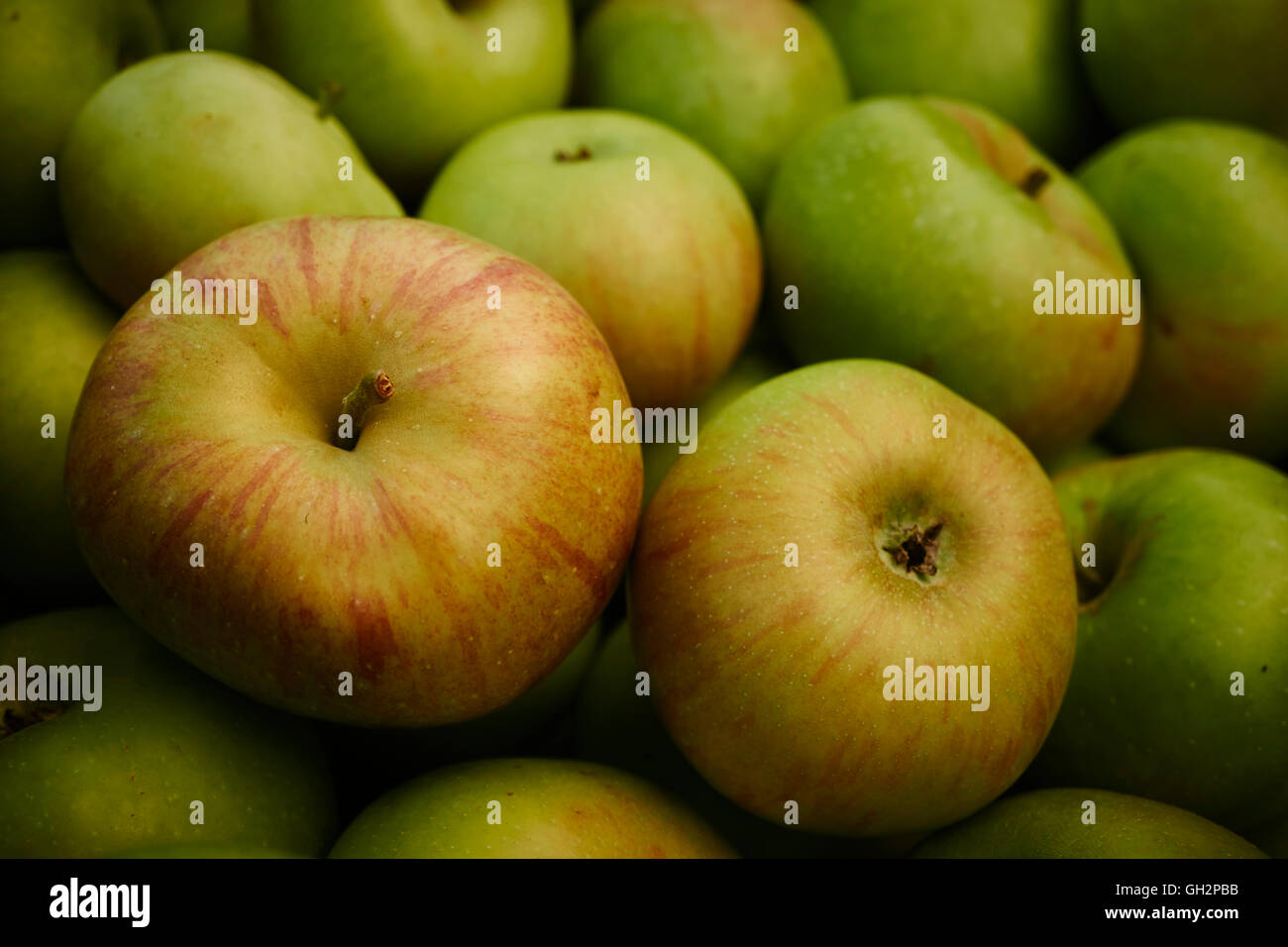 A bin of ripe apples at a farmer's market in Amish Country, Lancaster County, Pennsylvania, USA Stock Photo