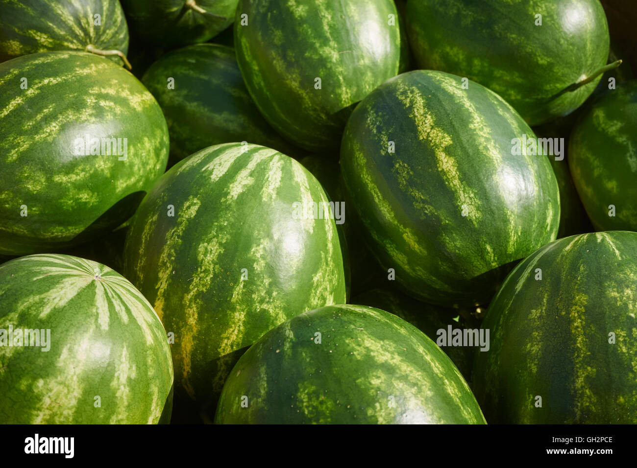 watermelons being displayed at the Leola Produce Auction in Amish Country, Lancaster, Pennsylvania, USA Stock Photo