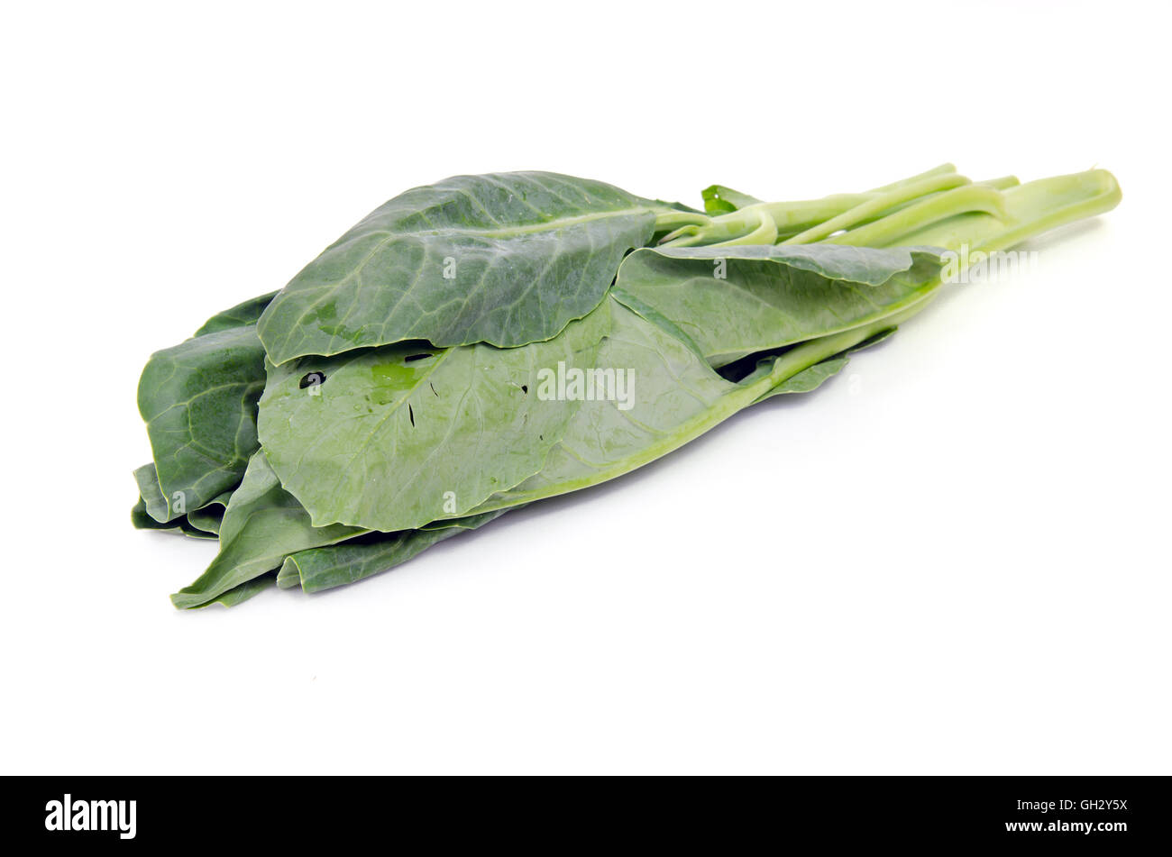 Chinese Kale vegetable (Other names are Chinese Broccoli, Kale, Kai lan, Gai lan, Phak, Khana