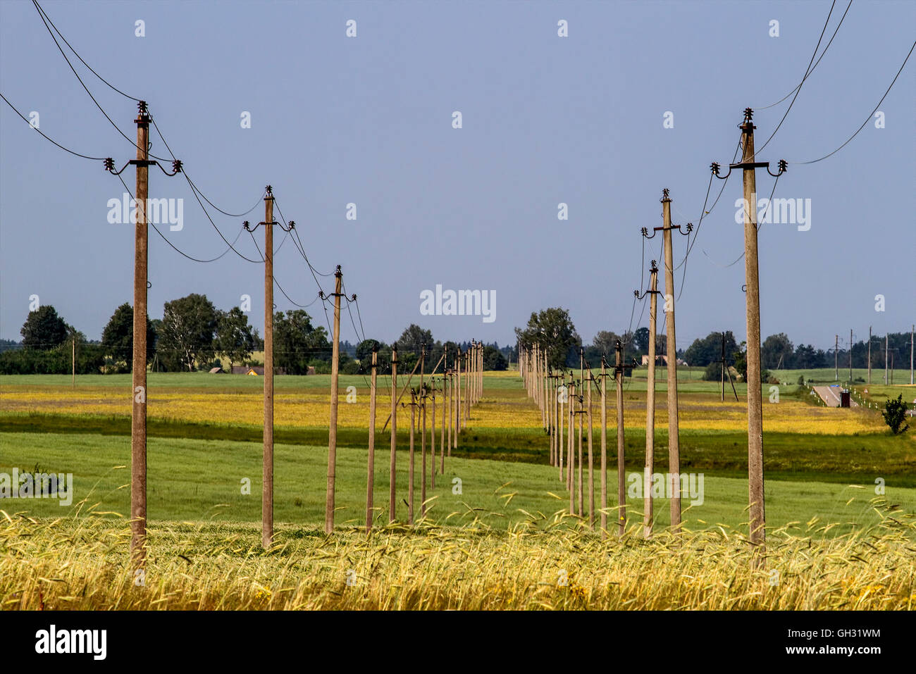 Electricity poles and wires in rural field Stock Photo Alamy