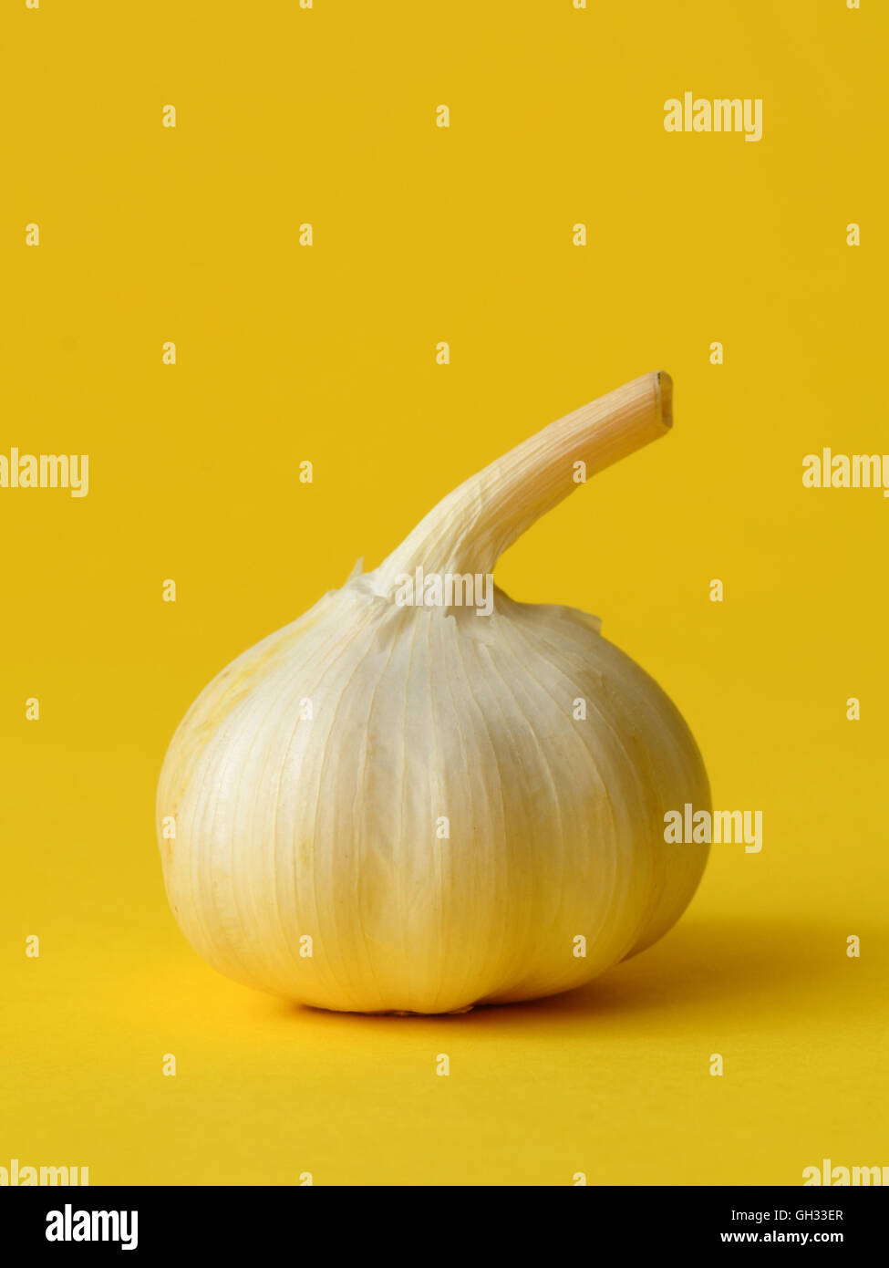 single bulb of garlic on yellow background Stock Photo Alamy