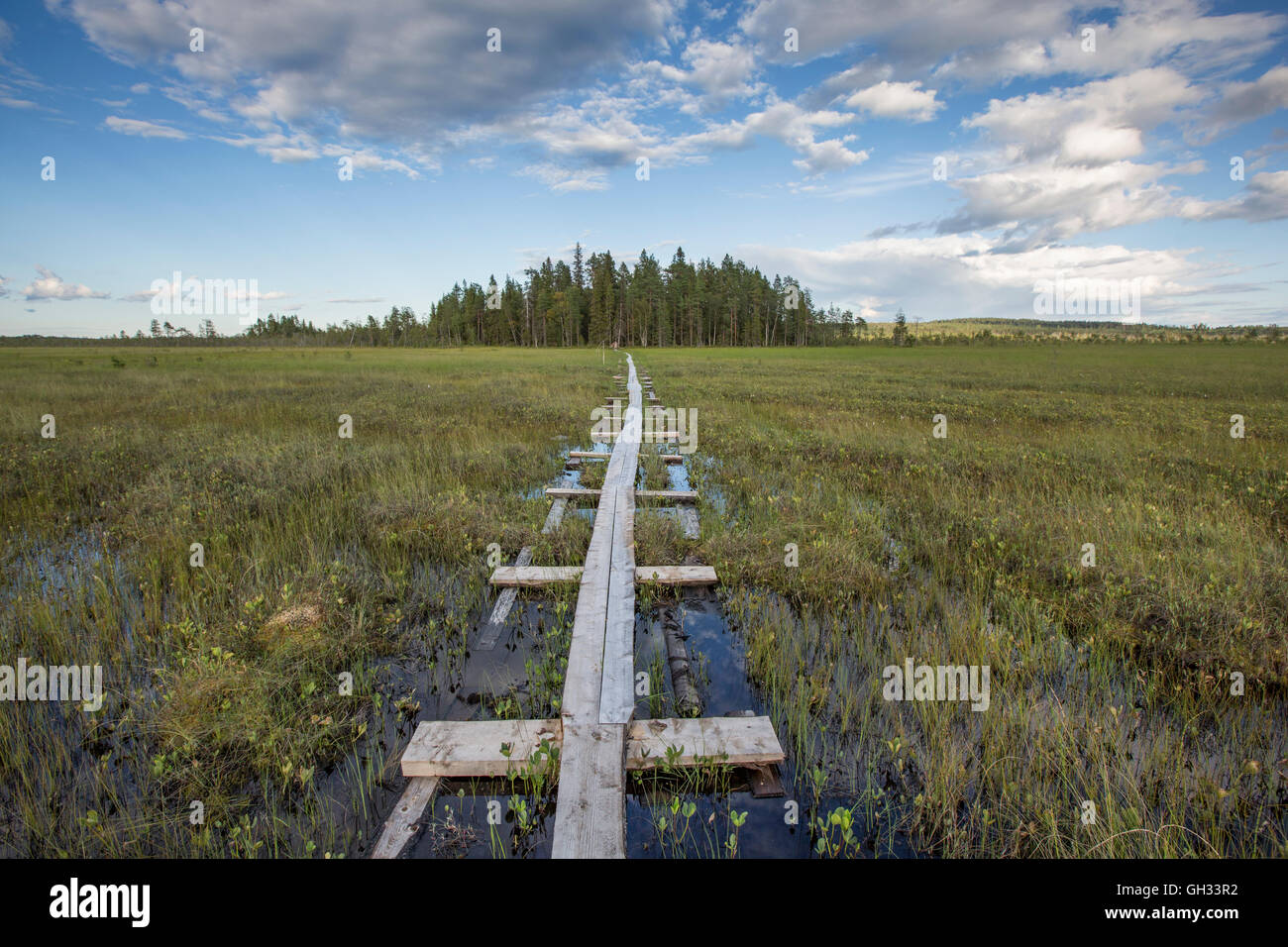 Swamp Walk Way Walkway through swamp hi-res stock photography and images - Alamy
