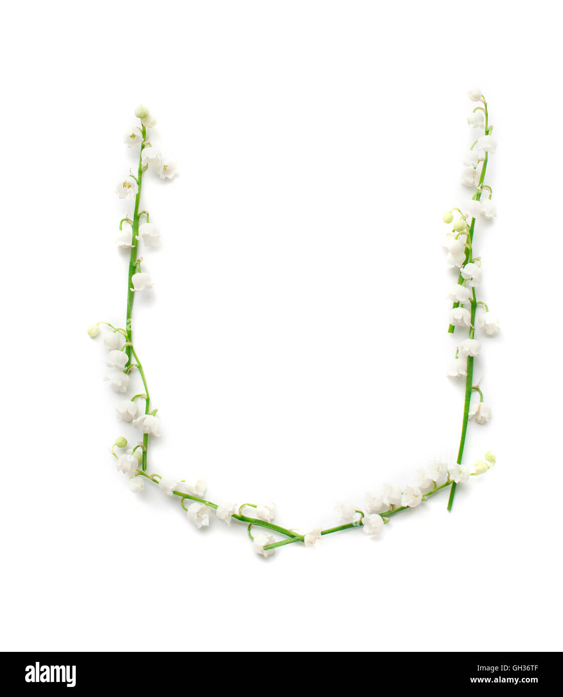 Letter floral u Cut Out Stock Images & Pictures Alamy