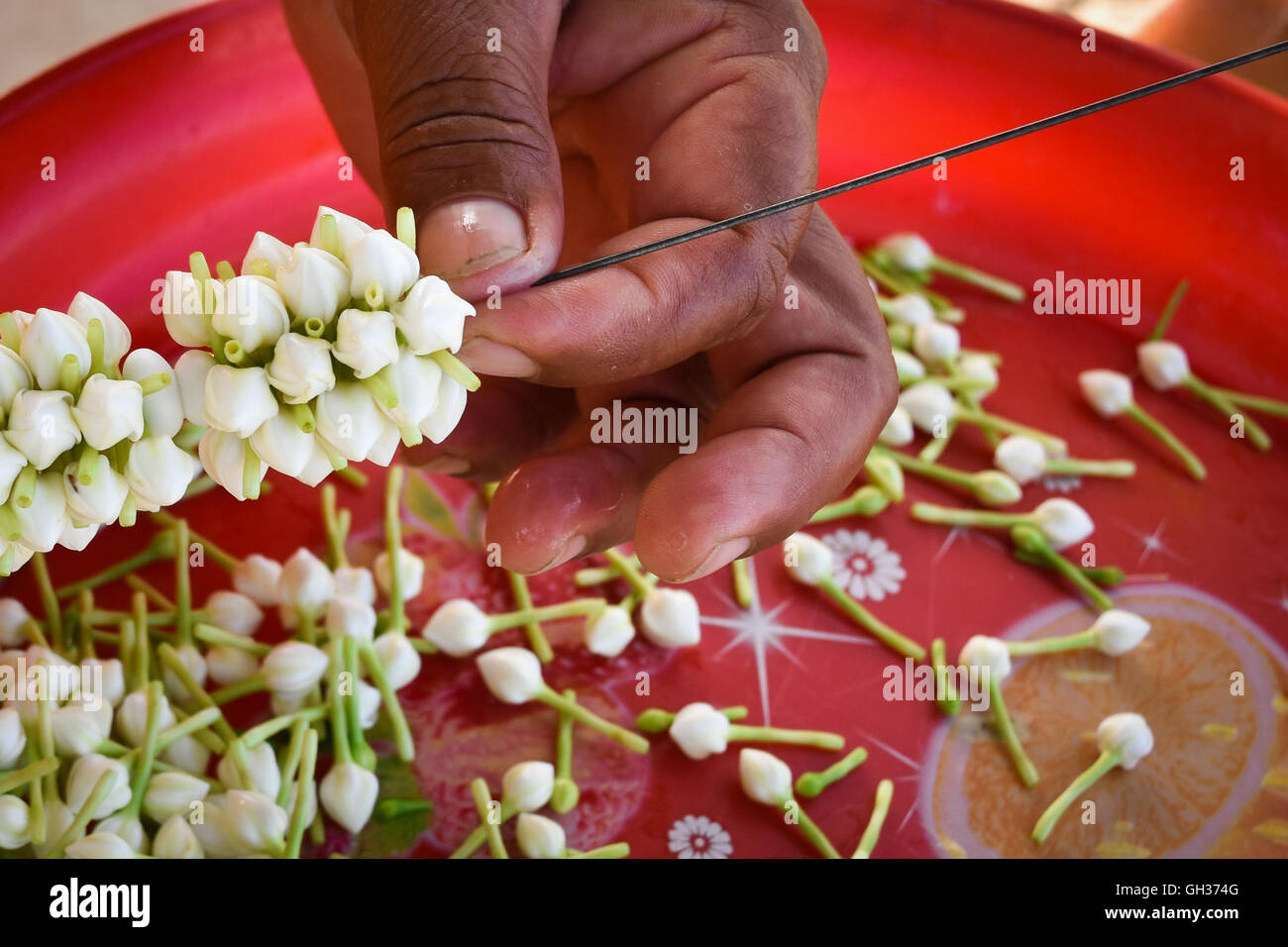 Jasmine garland of white needles garlands, flowers on Mother's Day Stock Photo