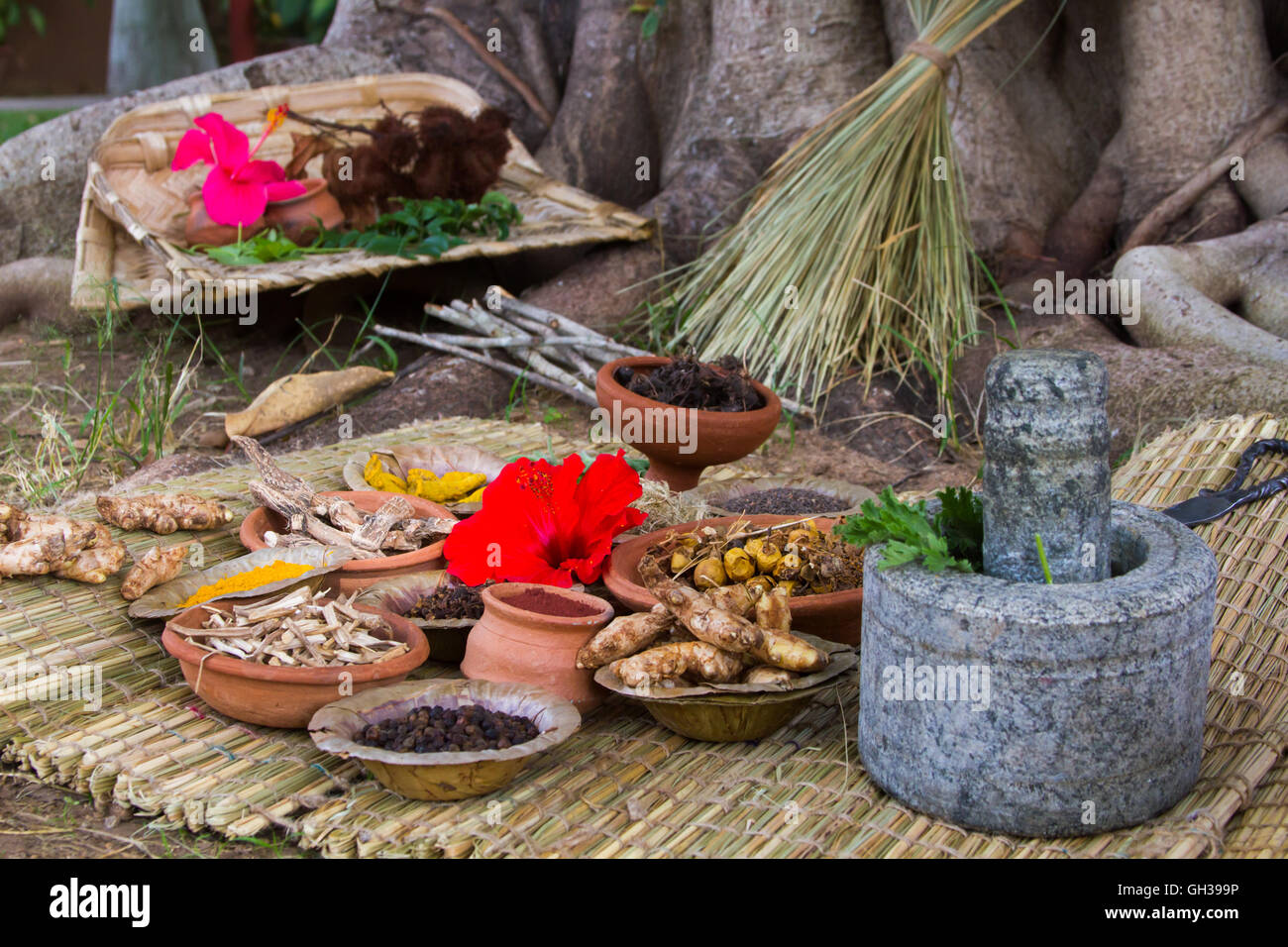 A traditional Ayurveda and natural medicine apothecary with stone mortar and pestle, herbs and spices. Stock Photo