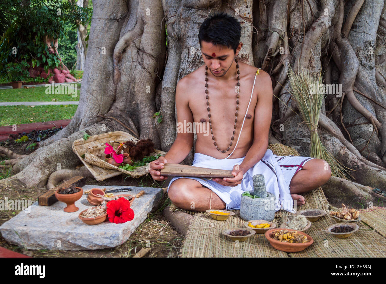 A young traditional ayurvedic doctor reading an ancient palm-leaf scroll on natural medicine. Stock Photo