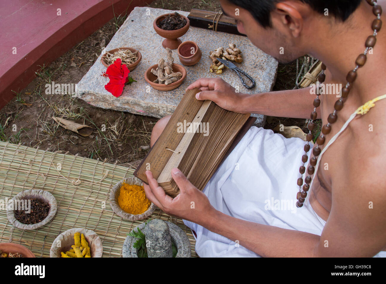 A young traditional ayurvedic doctor reading an ancient palm-leaf scroll on natural medicine. Stock Photo