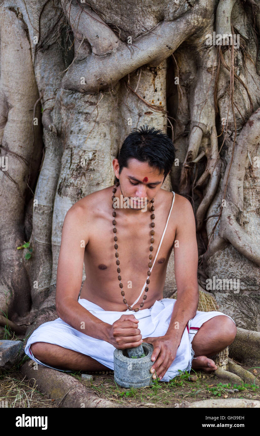 A young Indian doctor preparing traditional ayurvedic, herbal medicine. Stock Photo