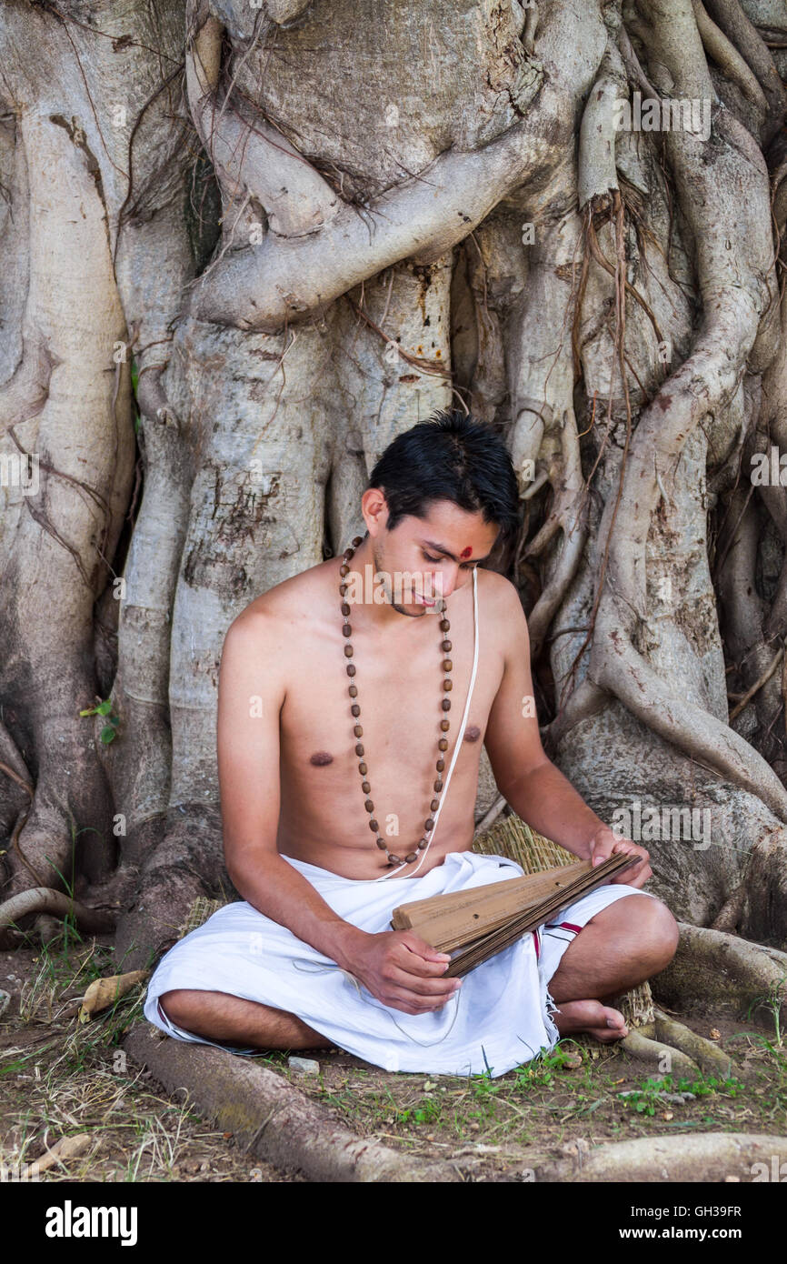 A young traditional ayurvedic doctor reading an ancient palmleaf scroll on natural medicine