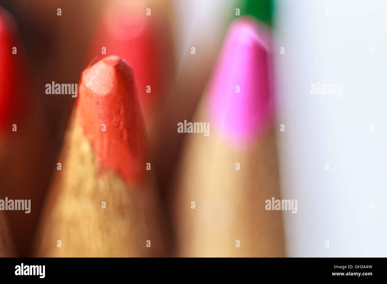 Close up macro shot of color pencil pile pencil nibs selective focus Stock Photo