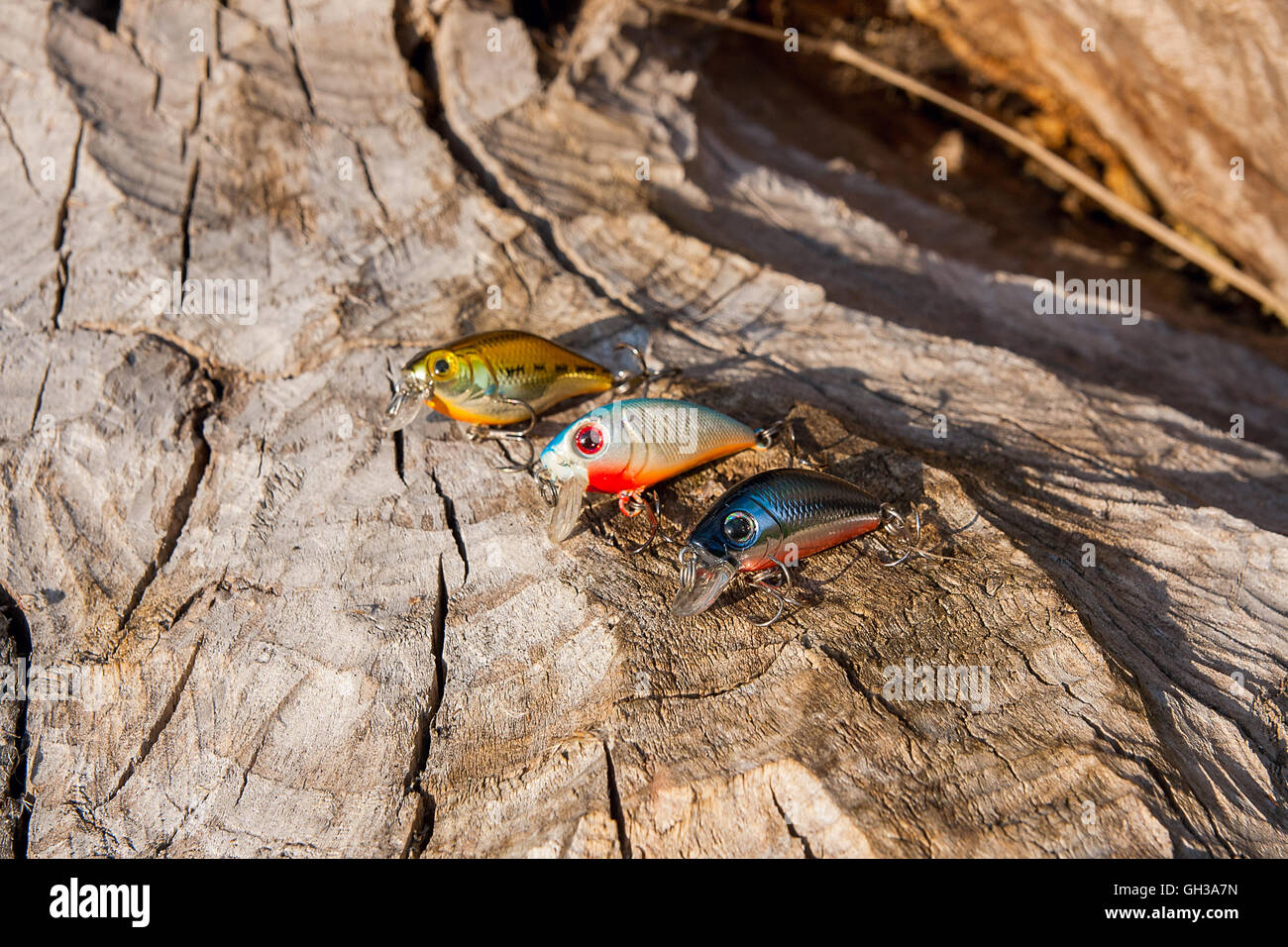 Natural Baits Example Assorted of various kind of fishing baits on the natural background ...