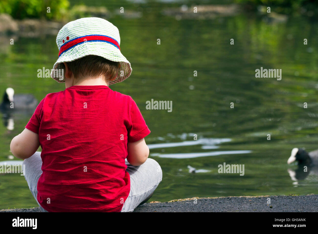 Young boy sitting beside a duck pond Stock Photo