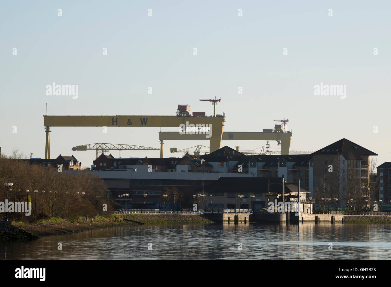 Samson and Goliath cranes belonging to Harland and Wolff, Belfast Stock