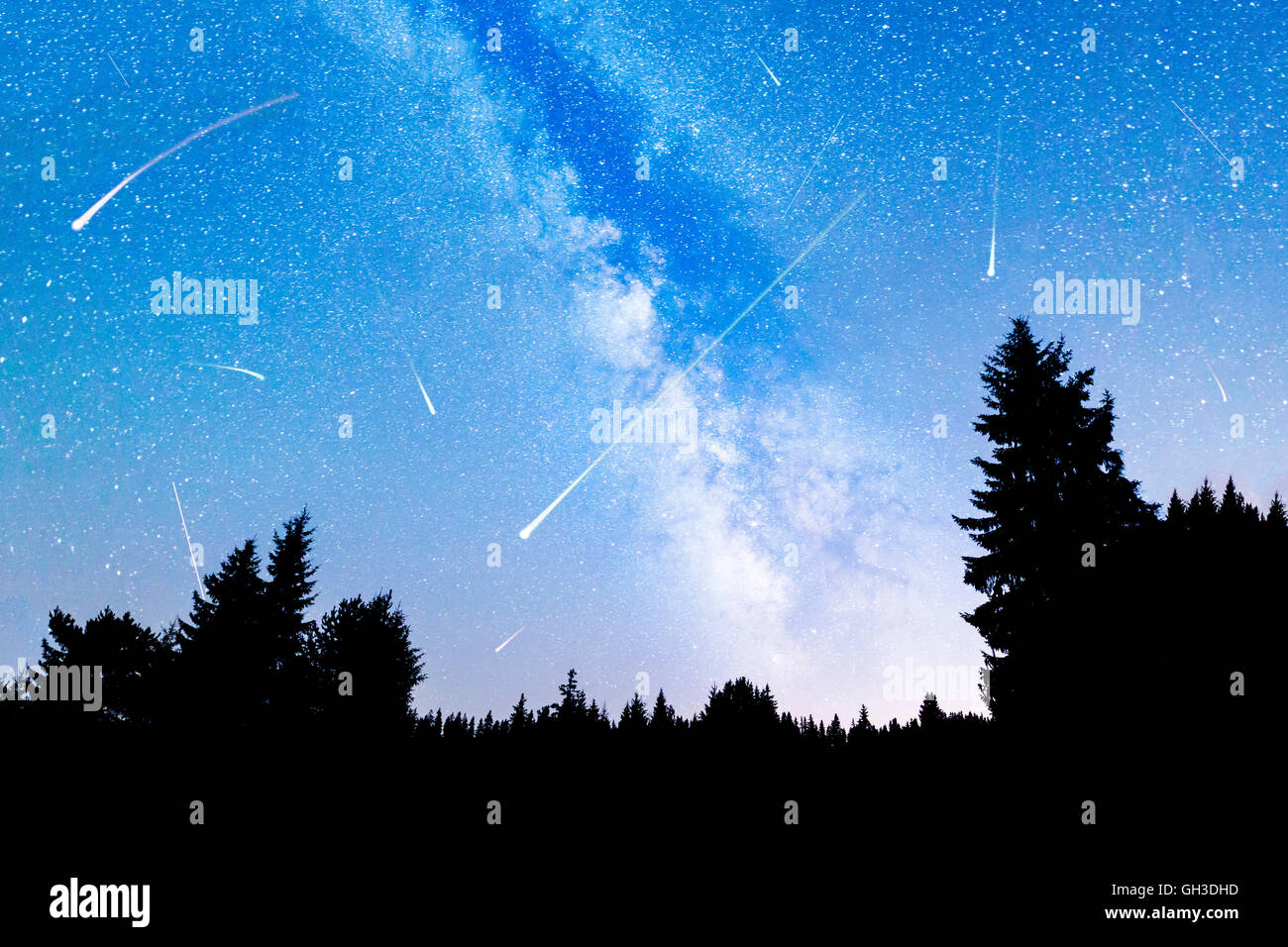 A view of the stars of the Milky Way with a silhouette of a pine trees ...