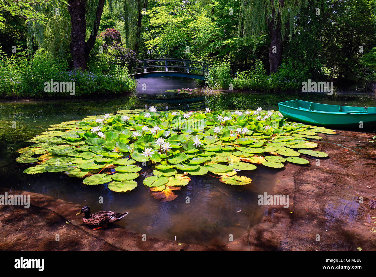 Low Angle View of a Pond with Water Lilies and a Footbridge, Grounds for Sculpture, Hamilton, Mercer County, New Jersey Stock Photo