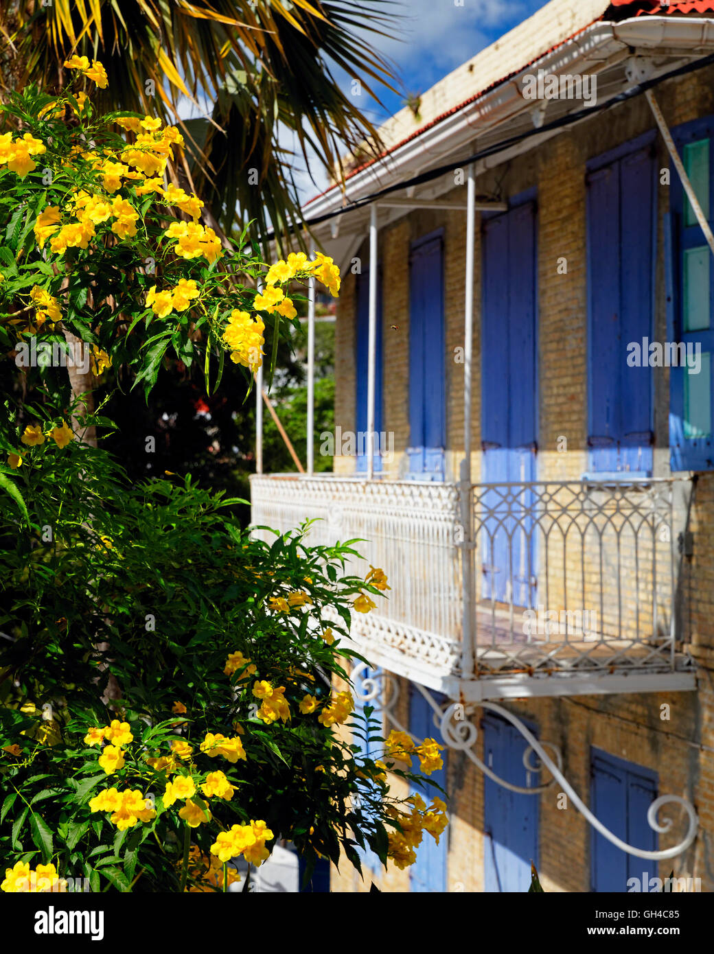 Blooming Hibiscus in Front of a Traditional Plantation House, Charlotte Amalie, St Thomas, US Virgin Islands Stock Photo