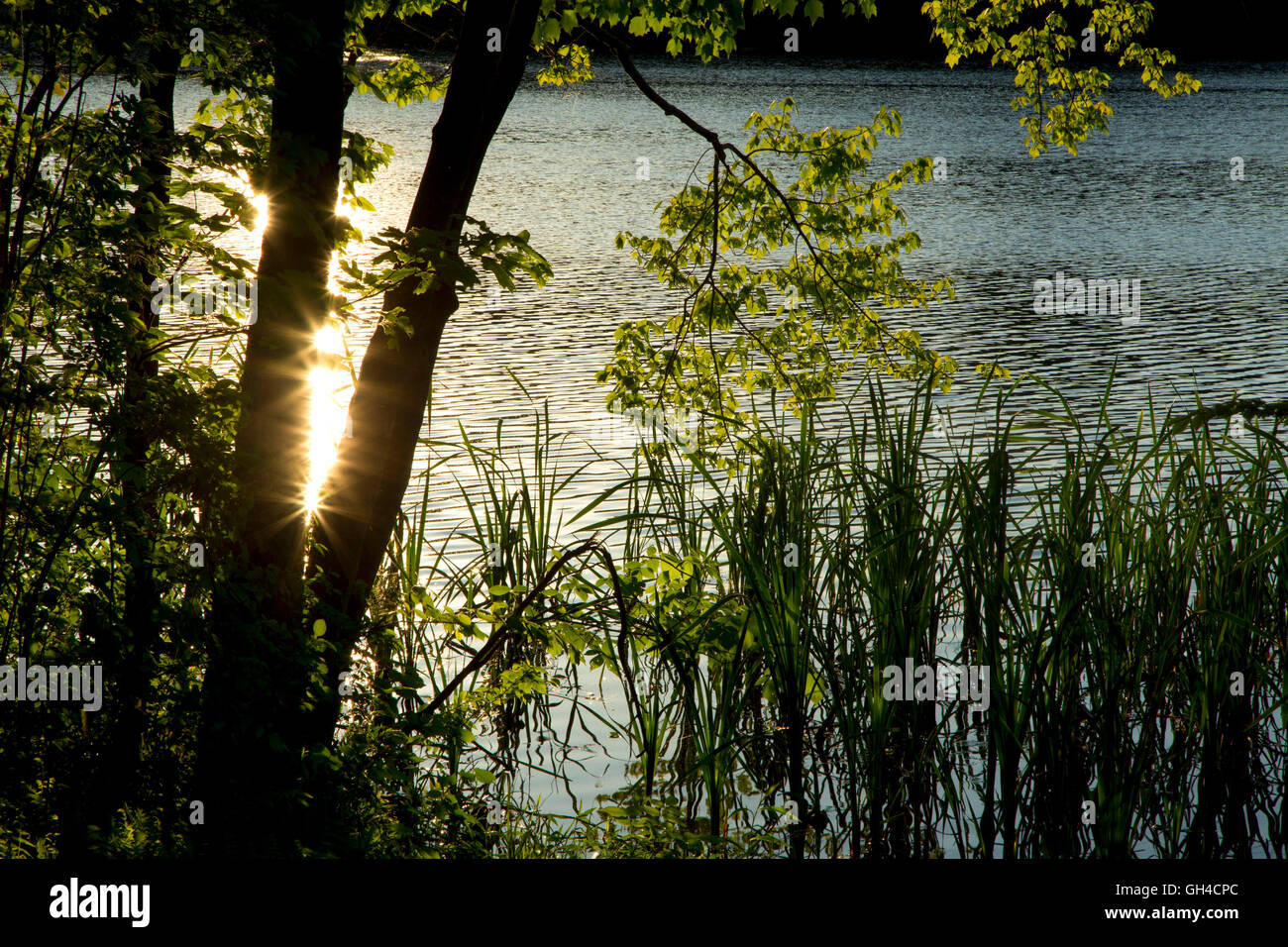 Crescent Lake, Crescent Lake Park, Southington, Connecticut Stock Photo