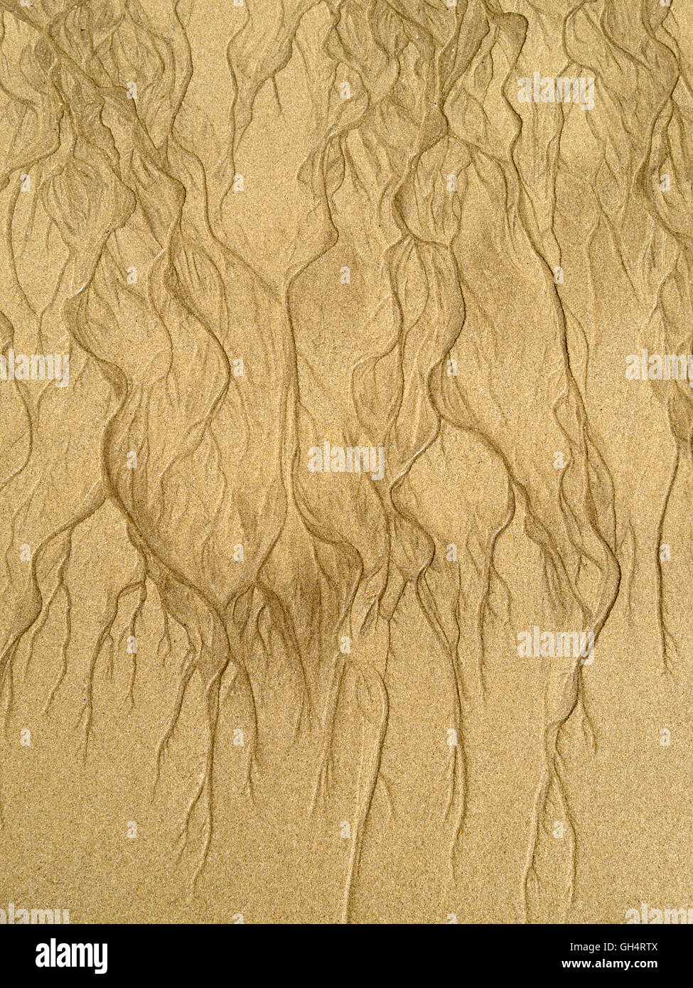 Patterns in yellow beach sand caused by flowing water Stock Photo