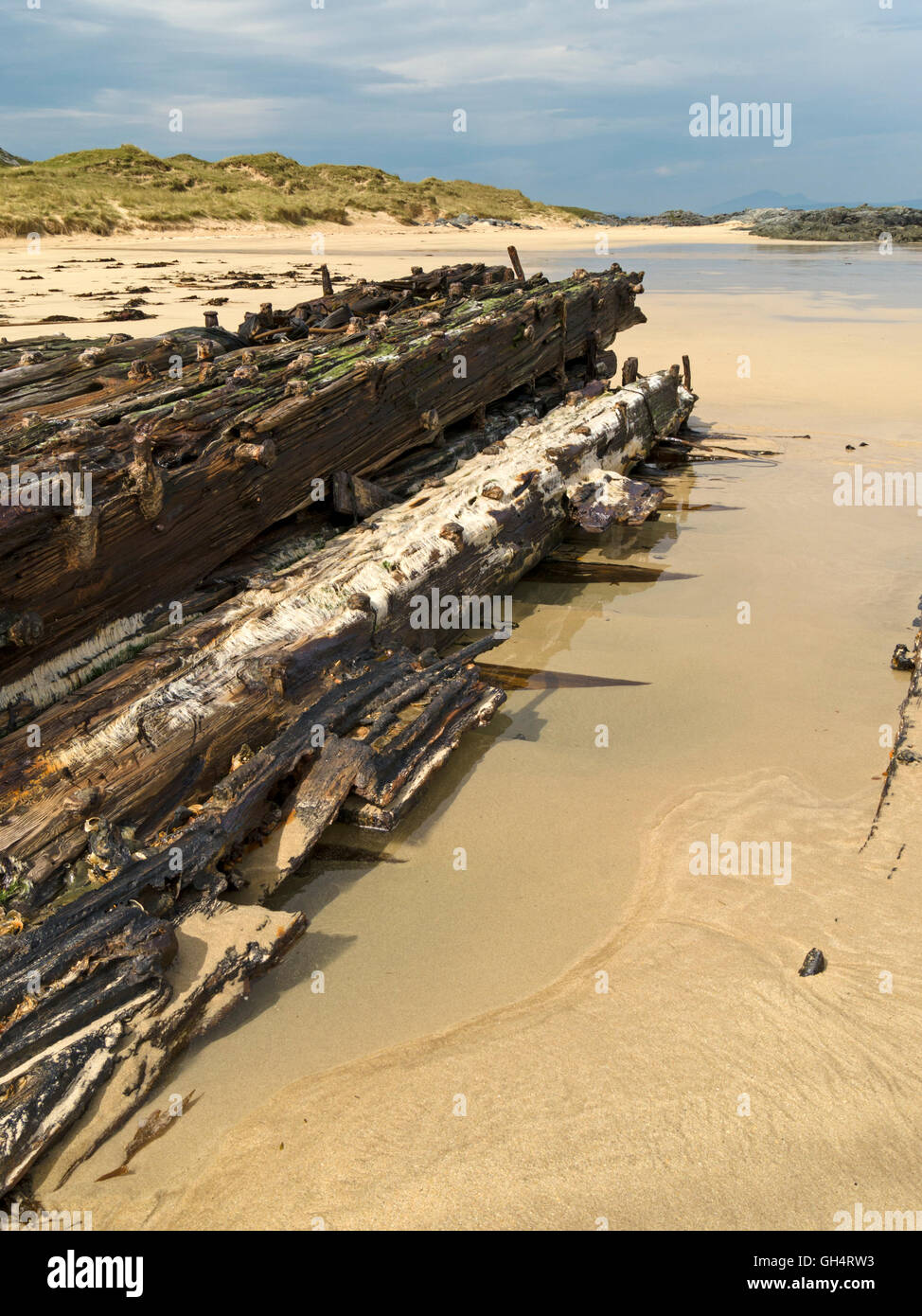 Old wrecked wooden ship's timbers and rusty nails buried in sands of Balnahard Beach, Isle of Colonsay, Scotland, UK. Stock Photo