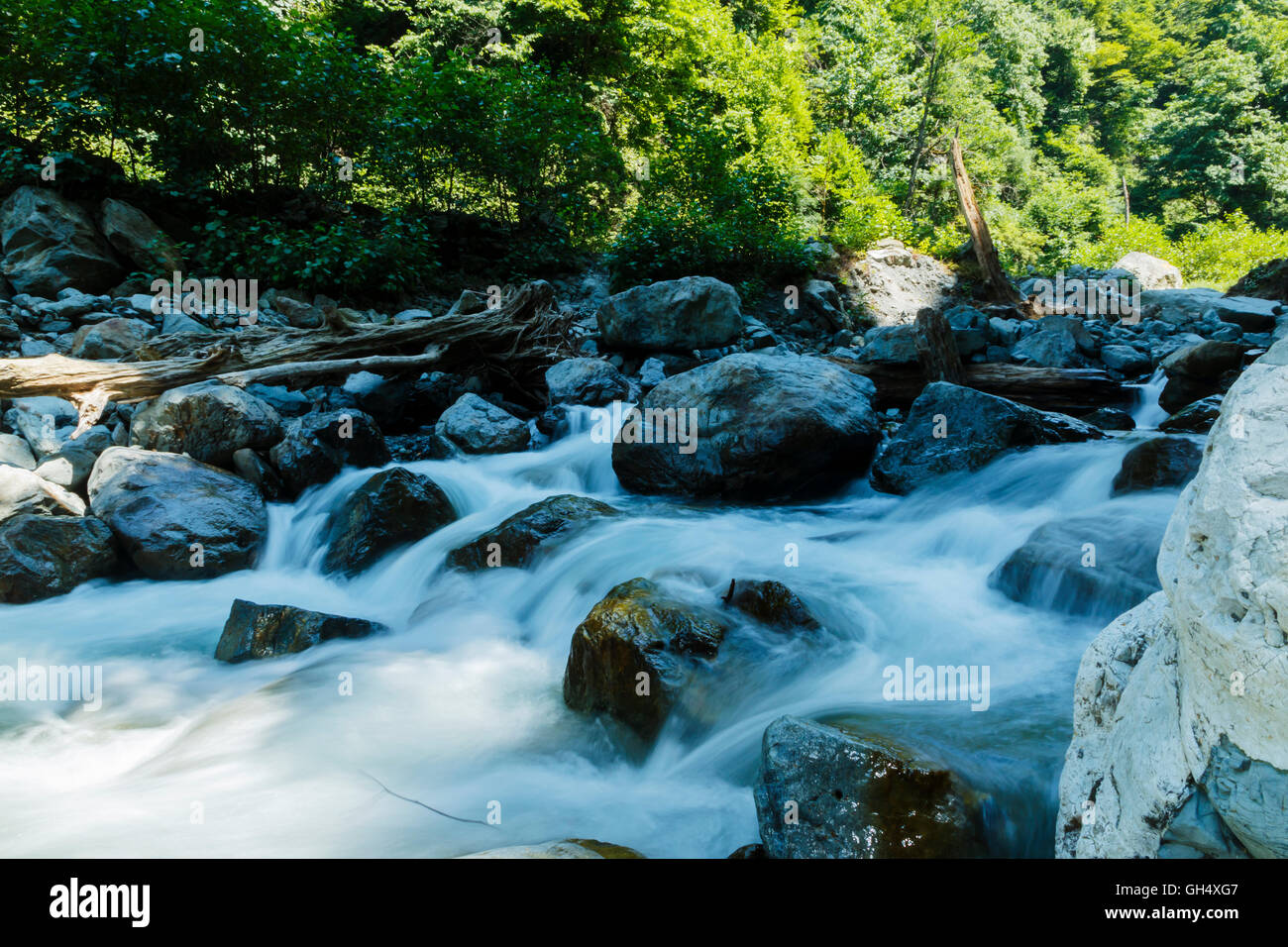Green forest blue river hi-res stock photography and images - Alamy