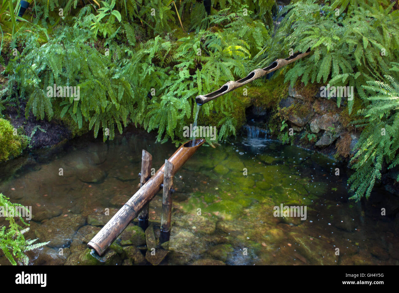 Deer scare, bamboo Stock Photo Alamy