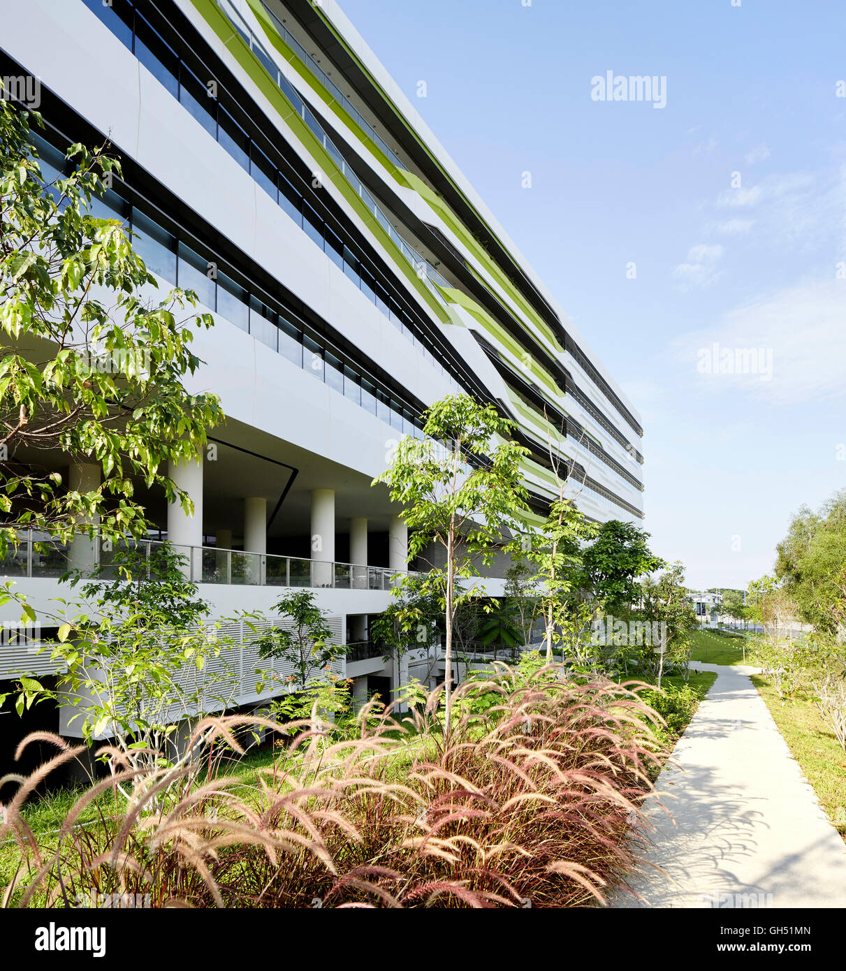 Landscaped paths along building facade. Singapore University of