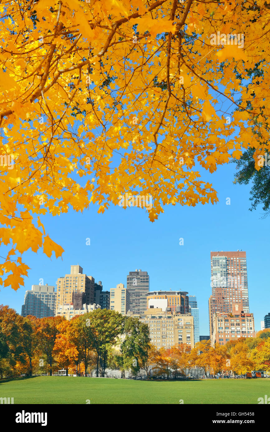 Manhattan midtown skyline viewed from central park in Autumn in New ...