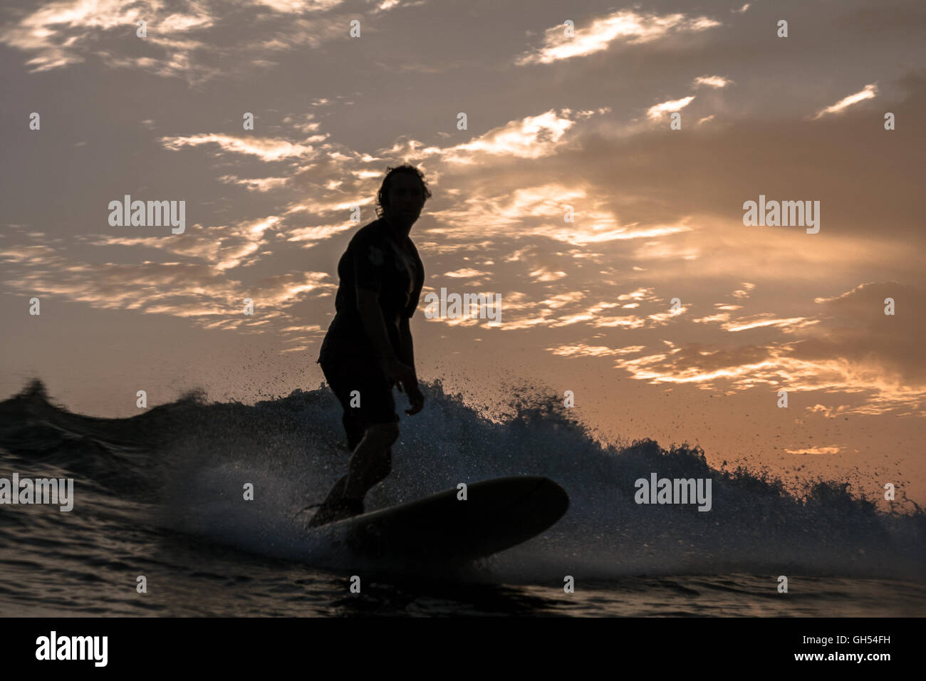 Silhouette of a surfer on his surfboard riding a wave at sunset Stock Photo