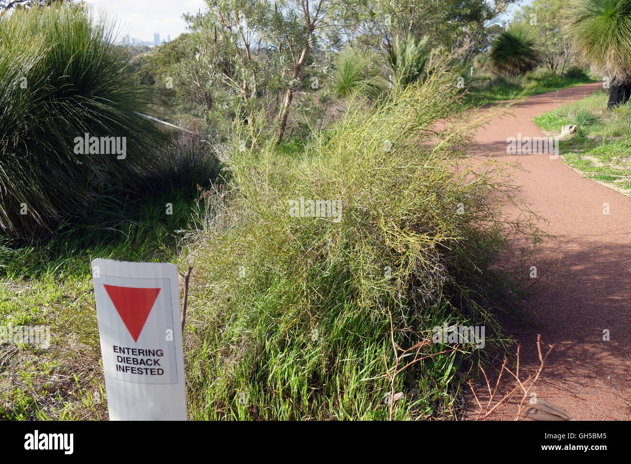 Sign beside path indicating that this area is infected with dieback disease (Phytophthora cinnamomi), Wireless Hill Park, Perth, Stock Photo