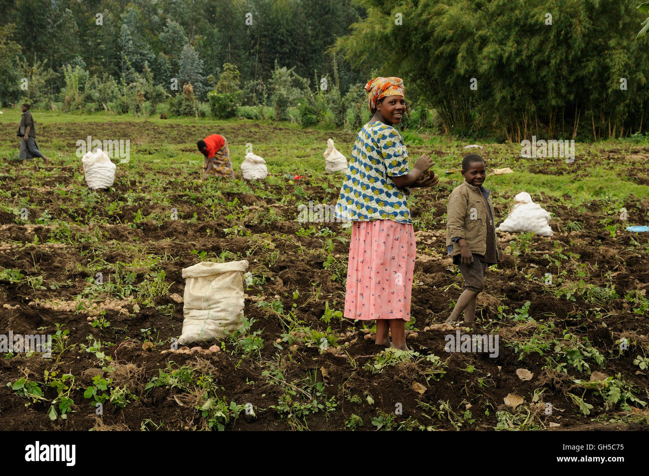 Farmers In Rwanda Rwanda farmers hi-res stock photography and images - Alamy