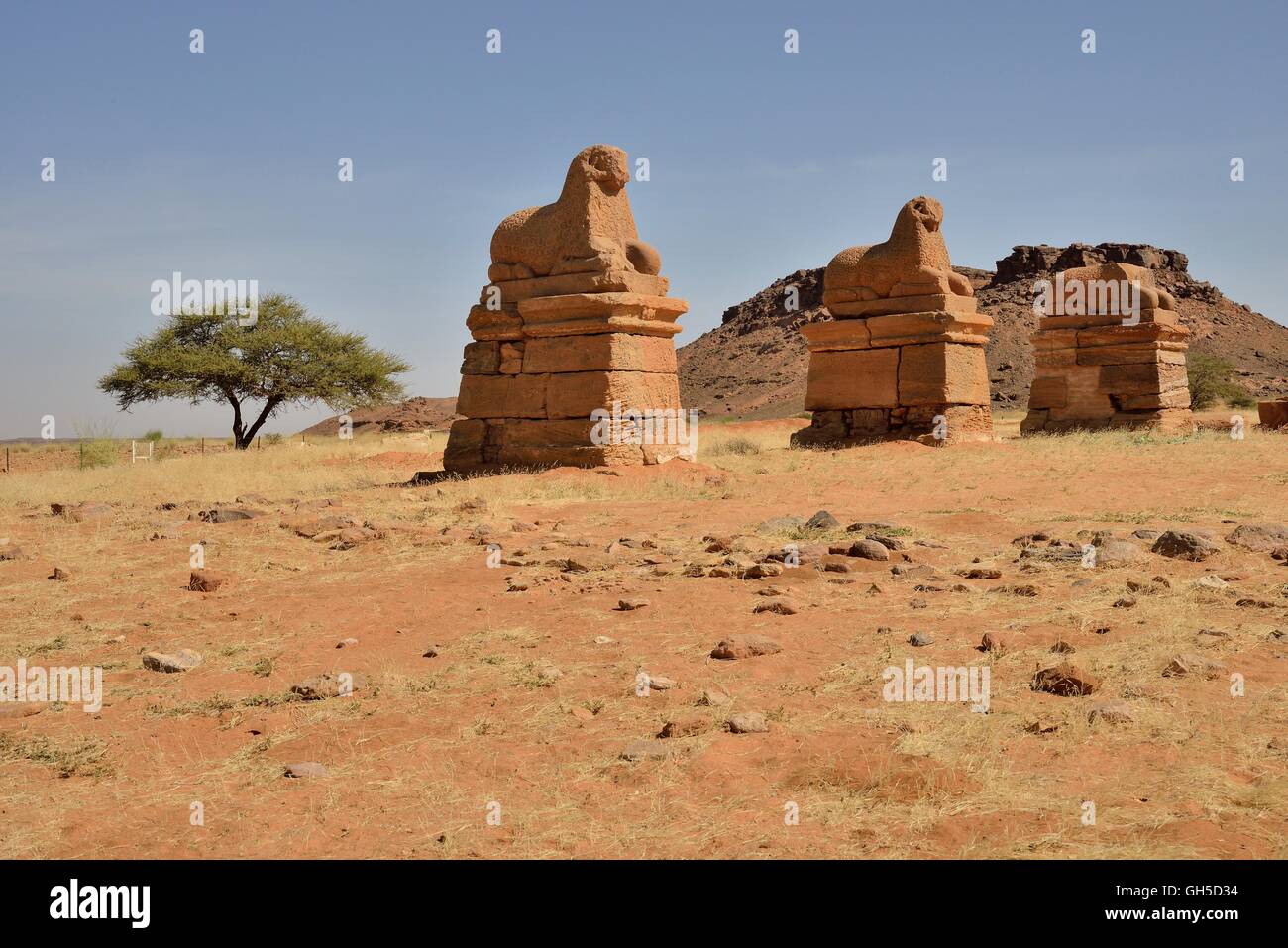geography / travel, Sudan, ram-headed sphinges in front of the Precinct of Amun-Re of Naga, black Pharaohs, Nubia, Nahr an-Nil, Additional-Rights-Clearance-Info-Not-Available Stock Photo