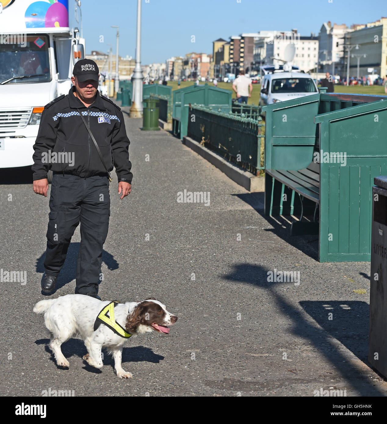 Police sniffer dog in action with handler Brighton seafront UK Stock