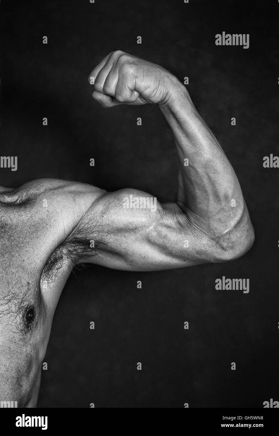 Veins arm hires stock photography and images Alamy