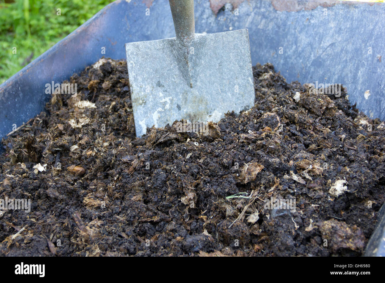 Home made organic compost in a wheelbarrow with spade Stock Photo