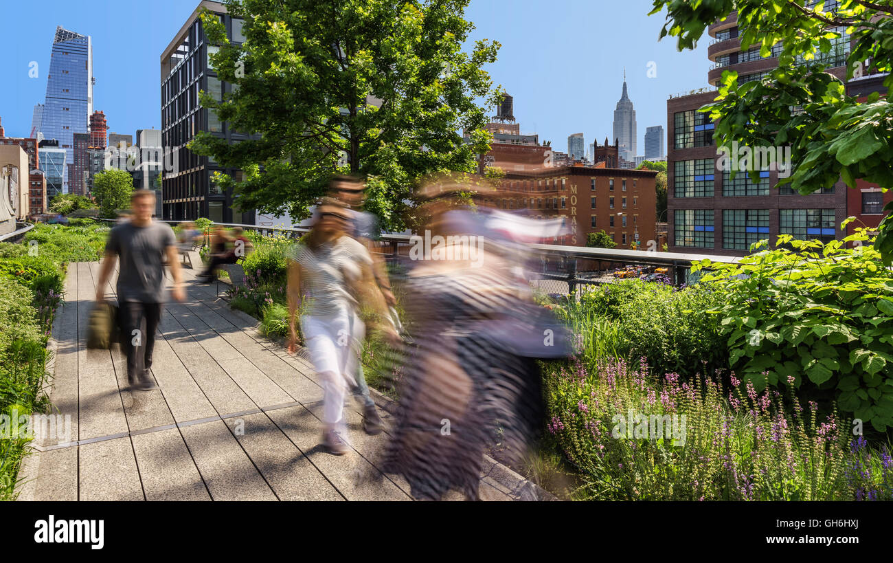 View from the High Line towards the Hudson Yards on Summer Morning ...