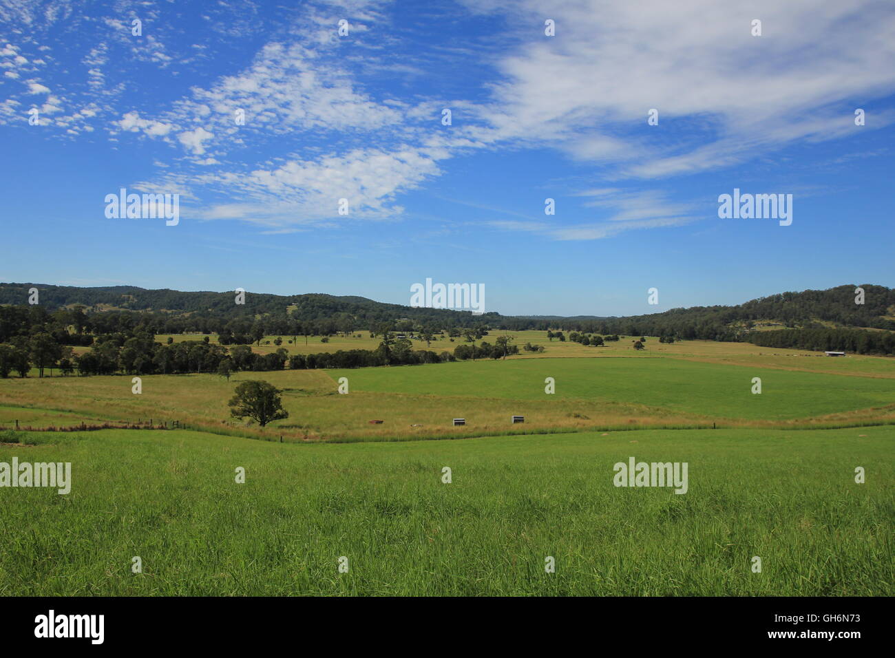 Rural background. Green meadow. Scene near Wauchope, New South Wales